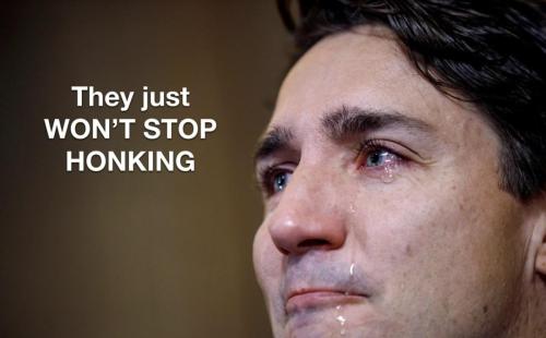 IMG_20220131_124350_762