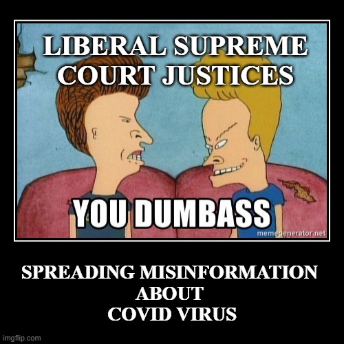 LIBERALSUPREMECOURTMISINFORMATIONCOVID