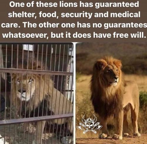 IMG_20220126_115632_940