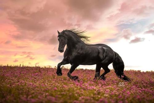 ED046955-00B1-421B-9BC6-D46EB060D06B