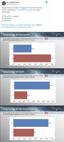 Trafalgar Group Tweet Polls