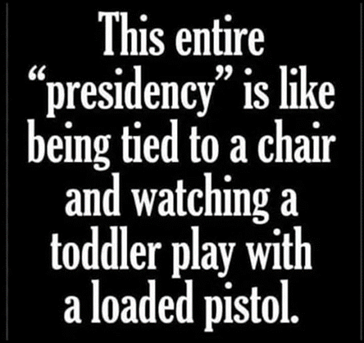 Watch toddler play