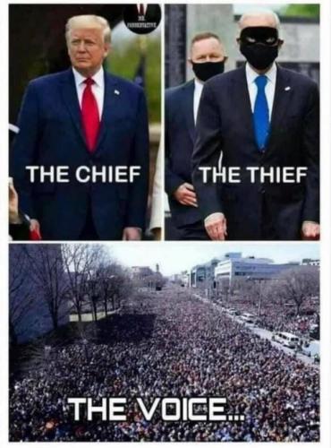 image_1642379445.137