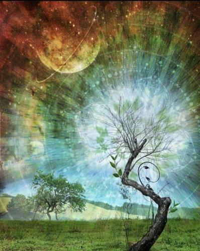 IMG_20220108_160702_236