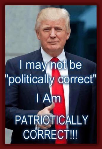 Patriotically Correct (1)