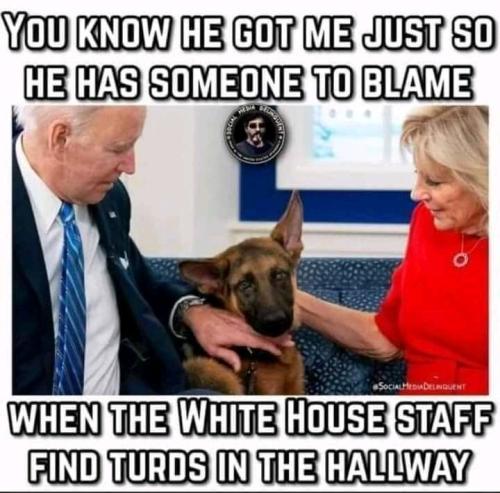 image_0e38d7ed-be01-4ff3-8d34-94e0d599b34c20220119_130347