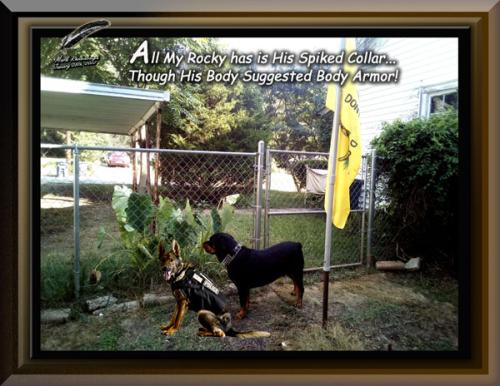 Rocky ~Spiked Collar Vs Body Armor~