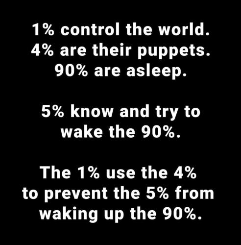 image_1641117861.296