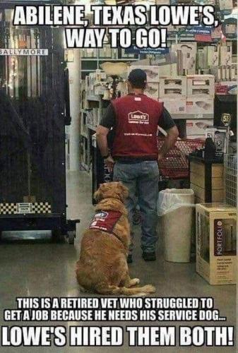 Tumblr_l_6883825979143