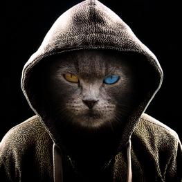 8nn4di1n8cv0R6WLfdrLqdEy_small