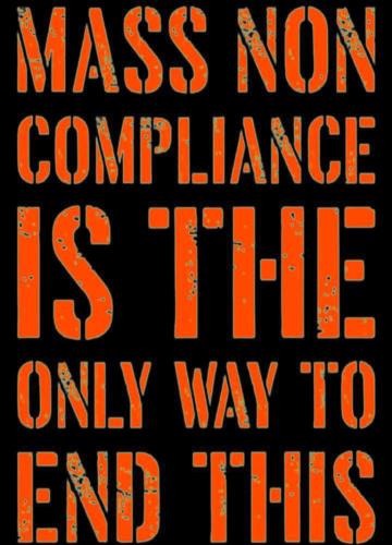 ab9b05c2cea1d2c94f3408180e68f0a4_500x0