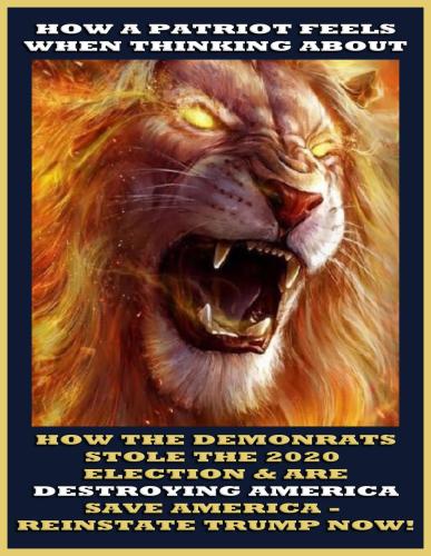 1-1-A-A-A-A=1-A-BIDEN-LION-HOW-I-FEEL-1