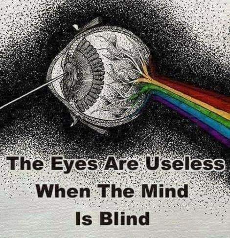 FB_IMG_1642069285168