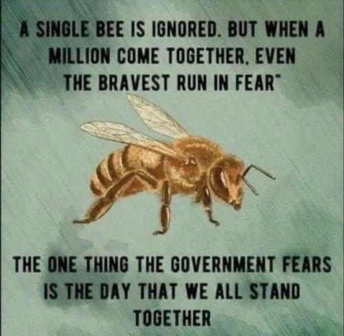 7D7DB8E0-583E-475B-96C8-EE71E0FD142E