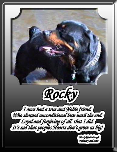 Rocky The Original