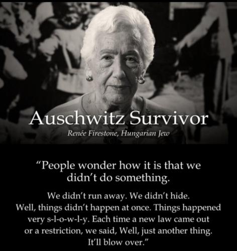 image_1641582321.913