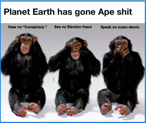 image_1642477156.394