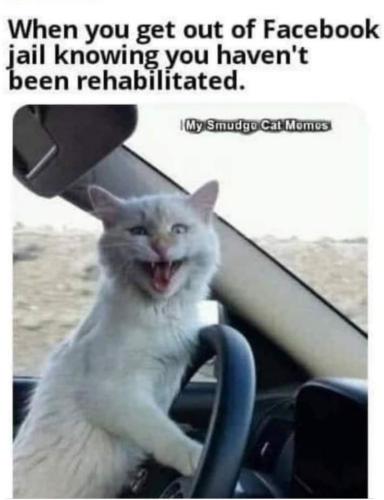 IMG_20220107_092021_973