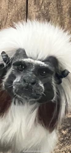 089D4338-1F53-4D7B-96AB-A2A644E40333