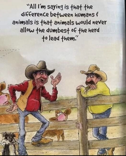 0ce96f01339b2159379e01143243c2a4_1024