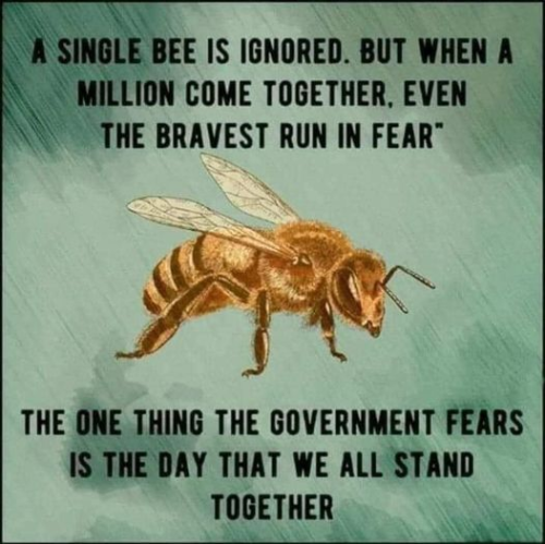 4D633965-4374-427F-9C4F-24E892742CF8