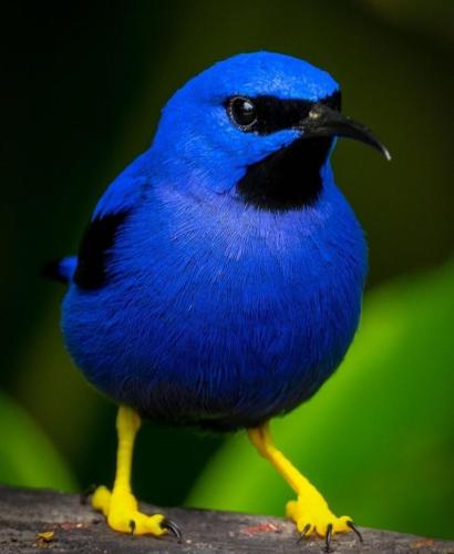 ACC45A64-5A81-483C-8EB5-5B9018BEE31F