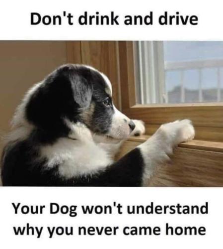 73e6dd05-3e6a-4746-871f-8acf8132775ad