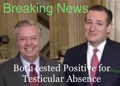 B822A34A-CB8F-4E65-9F69-D1249E36A1D2