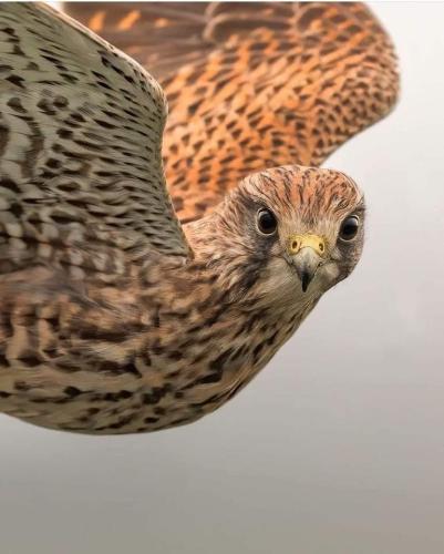 CB3551C8-90D9-4756-B9F6-A311D8F0E2CC