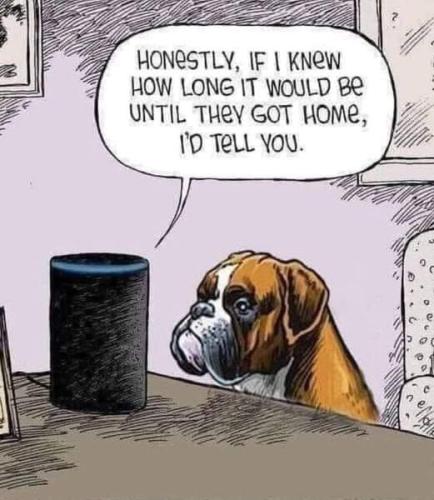 Siri Speaks