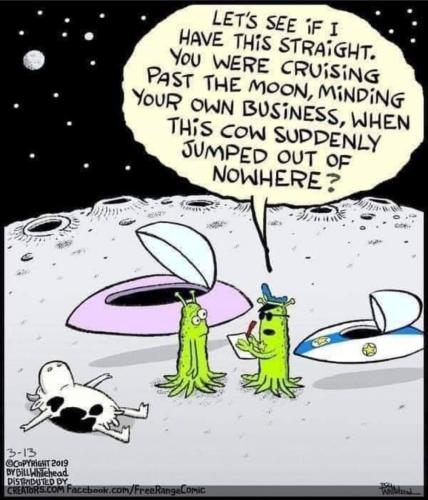 The cow jumped over the moon