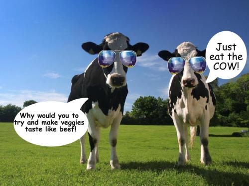 cows
