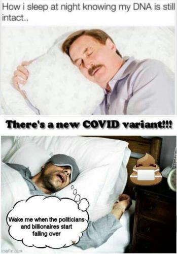 FB_IMG_1642021712344