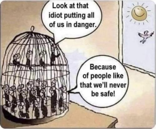 img - 2022-01-30T074957.059