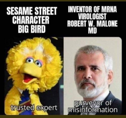 IMG_20220104_134706_881