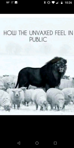 Screenshot_20220121-222631