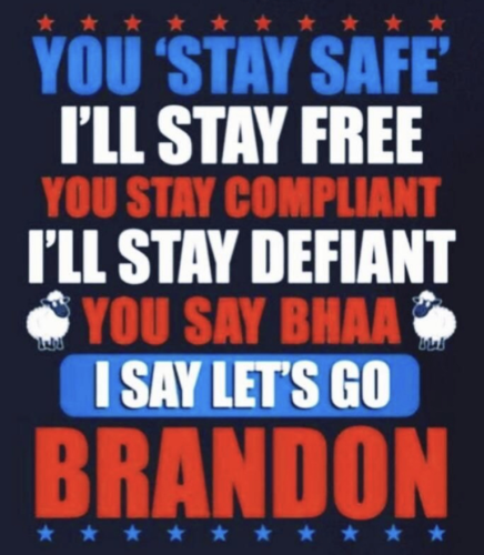 2945763cea69309a3c8ce911fbd3621d_500x0