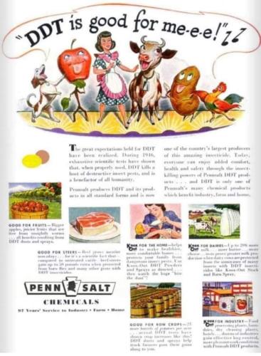 FB_IMG_1641838597905