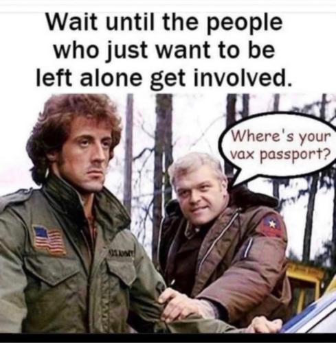 83688f7d5094abe225fb202a26126788_500x0