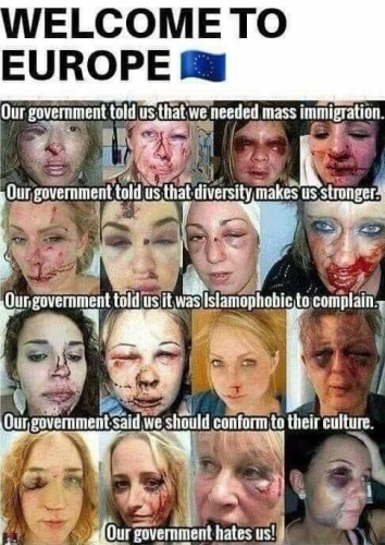 18ae49006881f52553f7ef06b2a3a431_1024