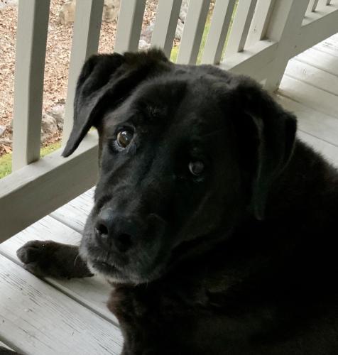 On the porch