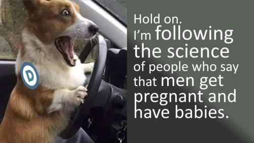 00000pregmen