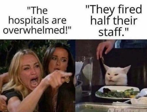 typicallibtardstupidity