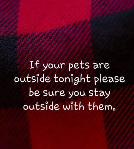 image_1641485034.176