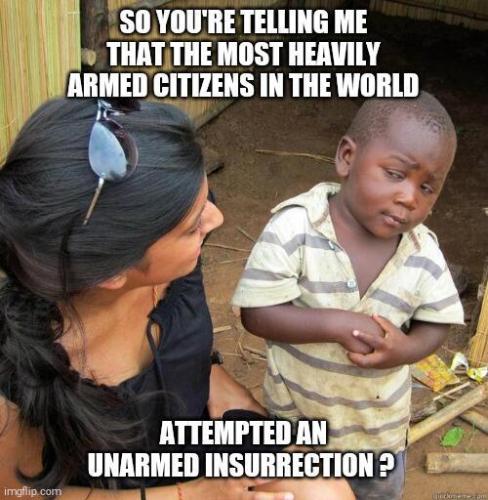 attempted insurrection