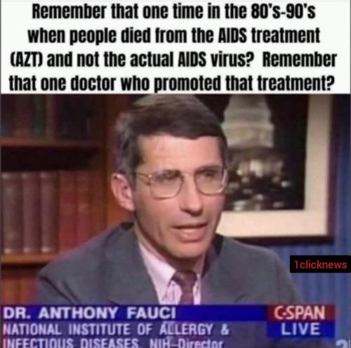 53936441-7A1B-4AE7-A7D6-832D2BC35BA4