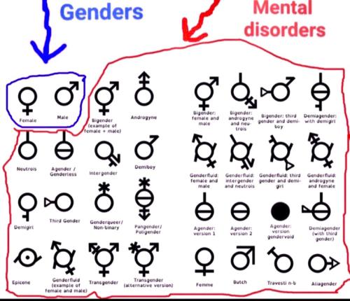 ebbbc8657f9eb925a985b7f4c2578ea5_500x0