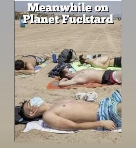 10A5A137-312A-4774-B81A-C775BE3A1BBB