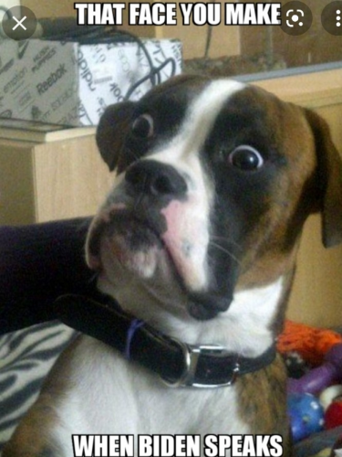 1642445303699_hub_od_