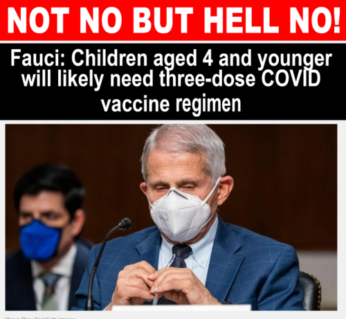 7e5a2312ae2acf09512b89c2ad35b3e5_500x0